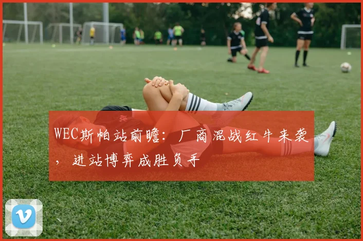 WEC斯帕站前瞻：厂商混战红牛来袭，进站博弈成胜负手