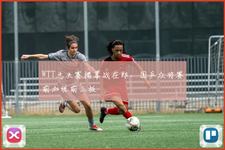 WTT总决赛揭幕战在即，国乒众将赛前加练前三板